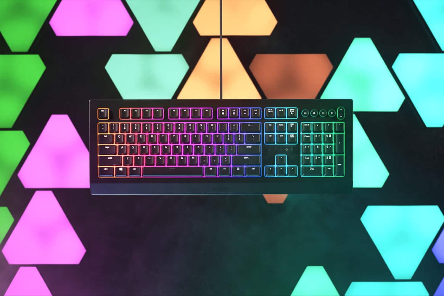 Teclado Gamer Cynosa v2