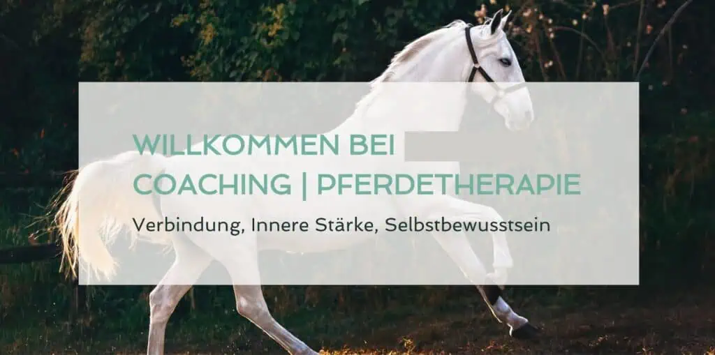 Hero einer Website, die Coaching und Pferdetherapie anbietet.
