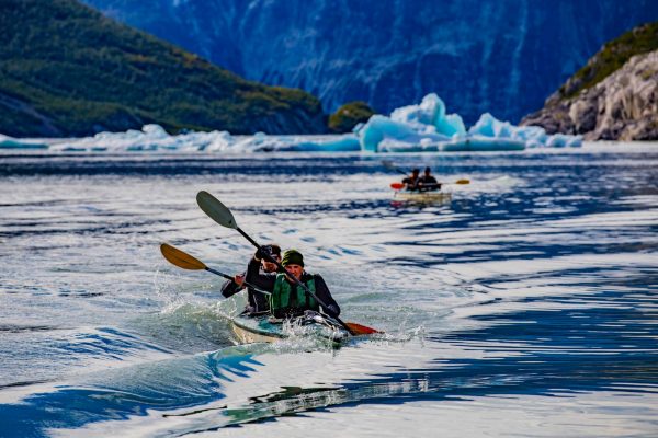 glacier bay19