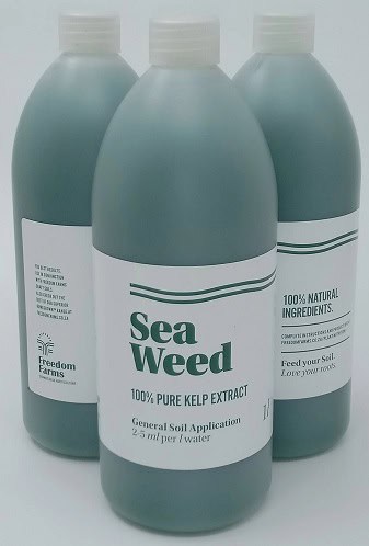 Seaweed kelp extract fertilizer for healthy plant growth and soil enrichment.