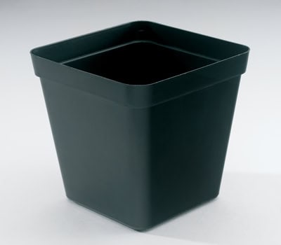 Black square plant pot for home and garden decoration.