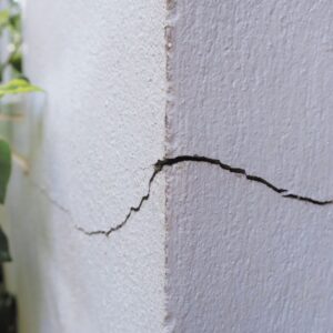 A large crack in a white wall with green plants in the background.