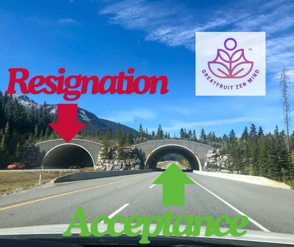 Acceptance and Resignation: It’s Okay vs. I Don’t Care