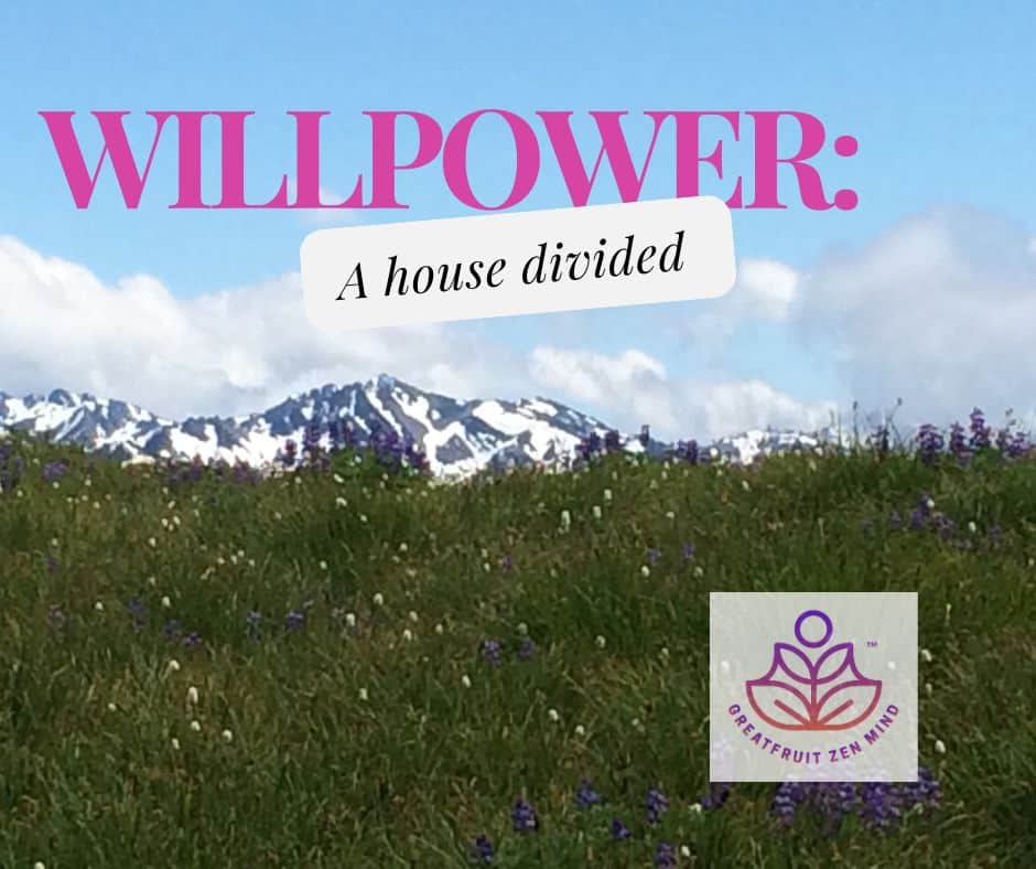 The Ineffectiveness of Willpower: Fighting Against Ourselves