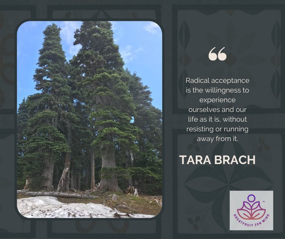 Radical Acceptance: Is It Just A Bit Too Radical For Me Right Now?