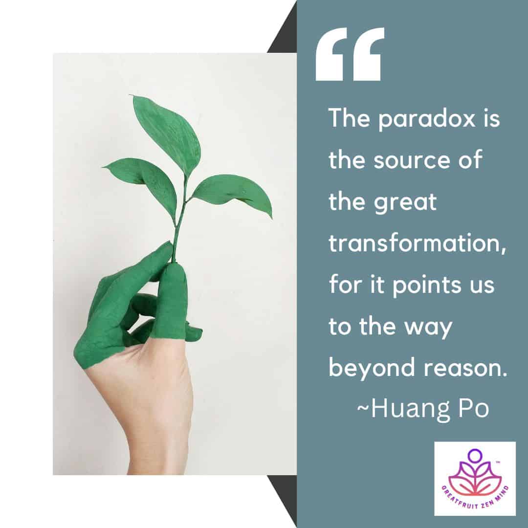 Paradox: Embracing Simplicity To Make Room For Complexity