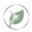 Site icon