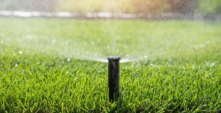 Drip irrigation sprinkler system watering lush green grass for landscape irrigation.