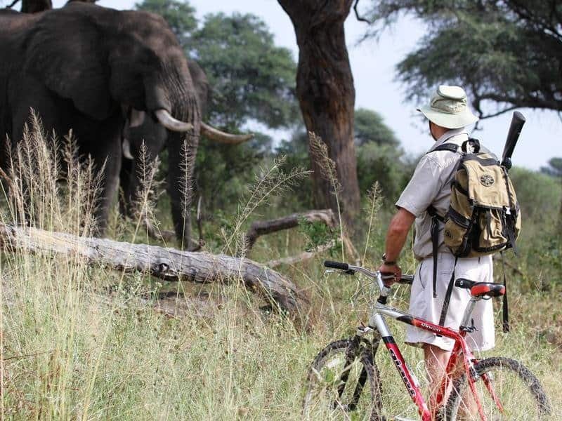 Responsible safari travel ideas - mountain biking safari