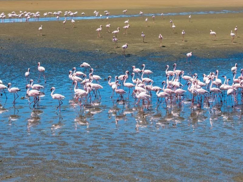 namibia_-_b1