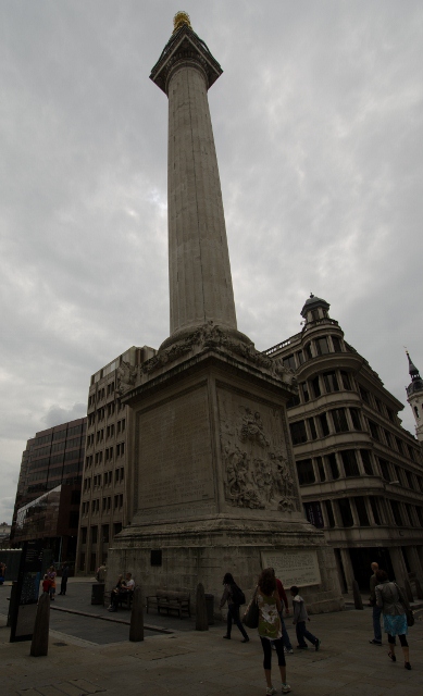 dsc_1428-389x640