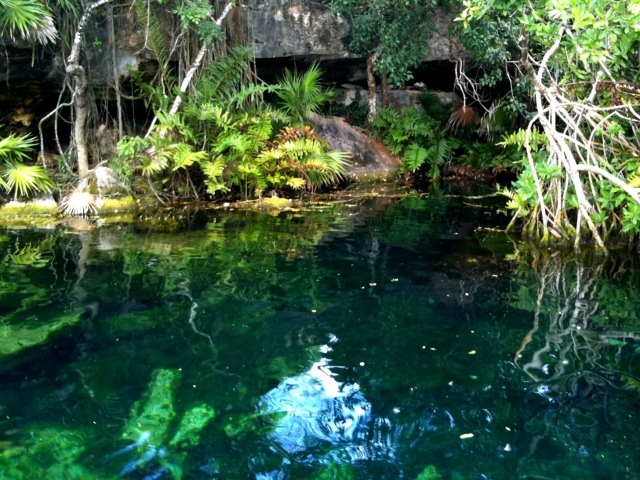 cenote-crystalline-in-yucatan-original-edit-640x480
