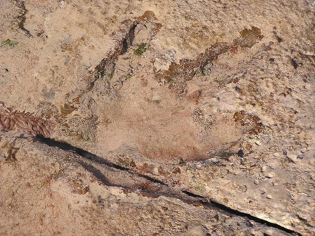 broome