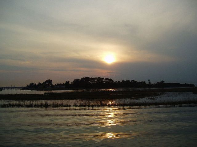 medium_543086521