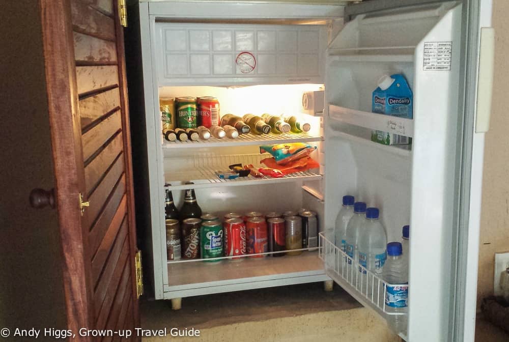 Gorges Lodge mini-bar and fridge