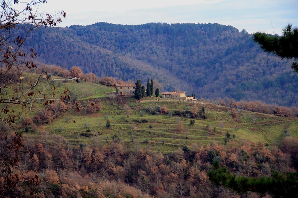 large_5363000884