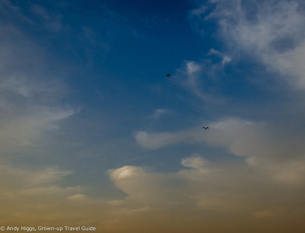 Desert safari hawk and drone
