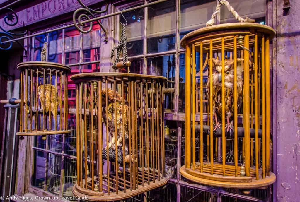 Owl emporium