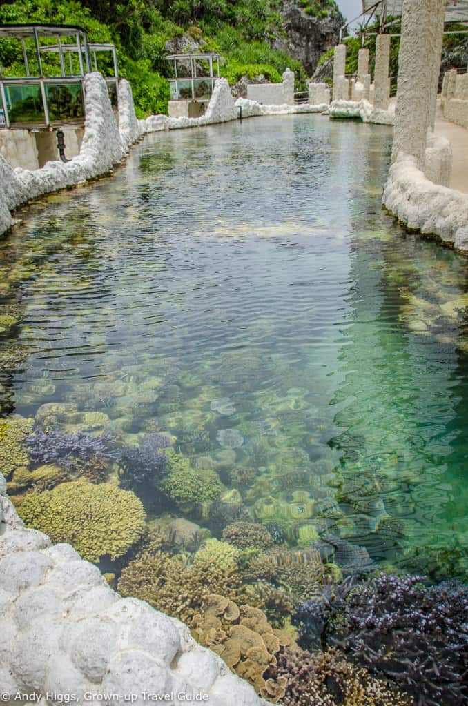 Coral tank