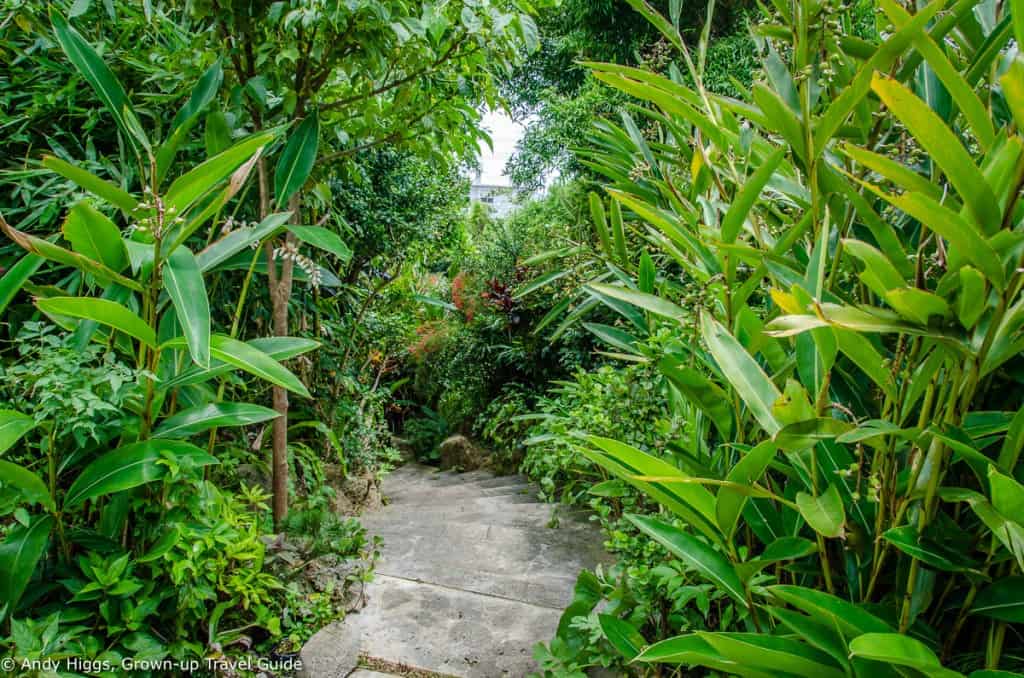 Lunch restaurant steps