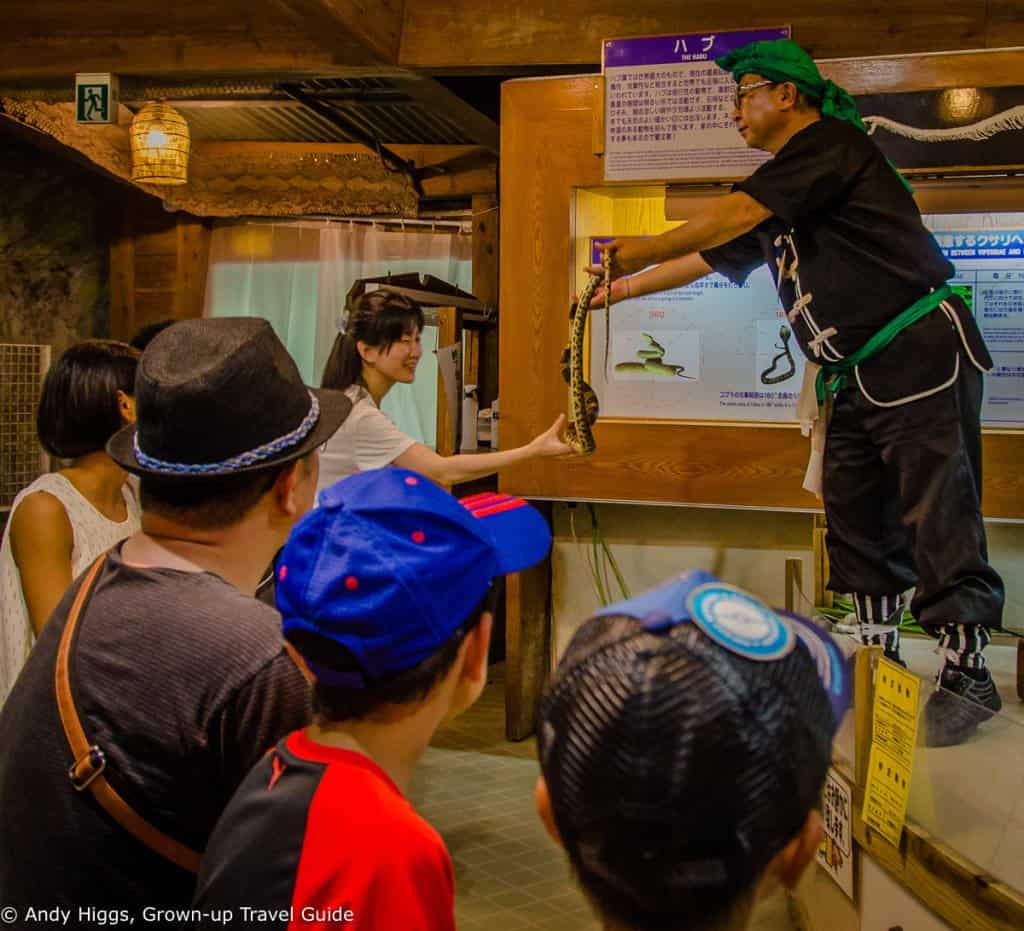 Ryukyu Village touch snake