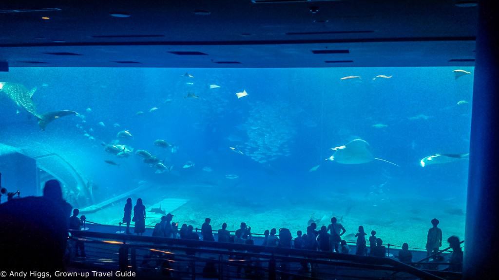 Aquarium 1