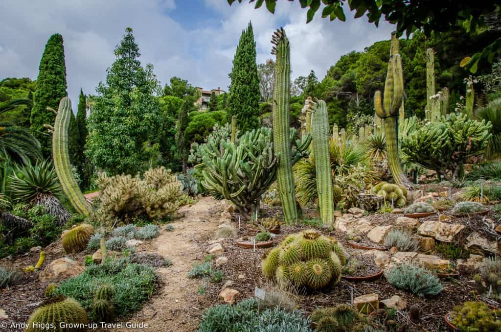 Gardens 6