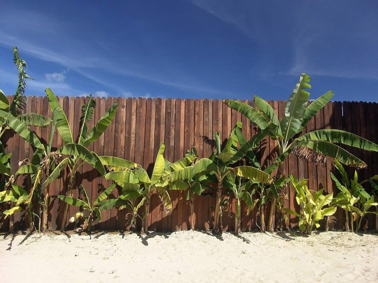 beach-1029007_1280