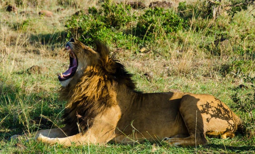 Best Places to Travel in Africa