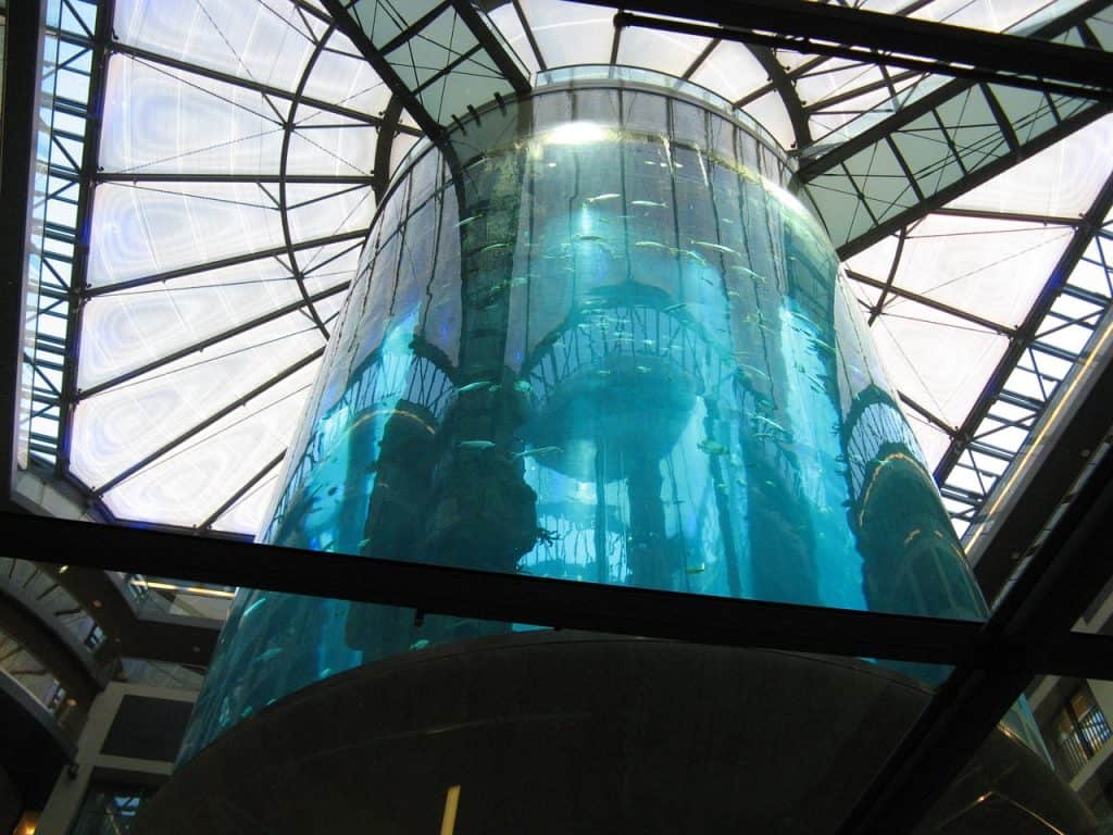 berlin aquarium burst