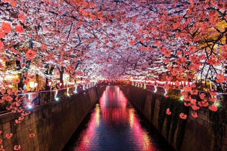 Cultural experiences in Japan