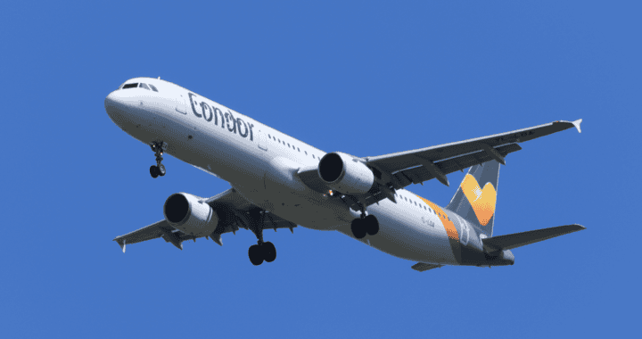 condor gruppenflüge