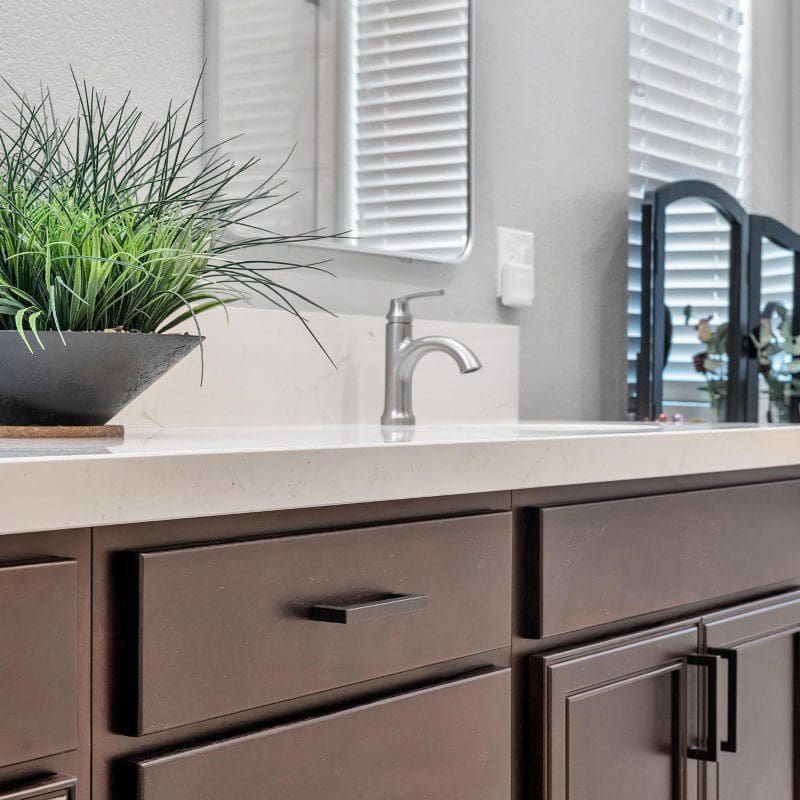 Bathroom vanity with a plant, sink, mirror, and dark cabinets.