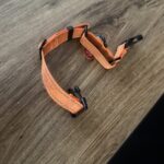 a dog collar for small dogs
