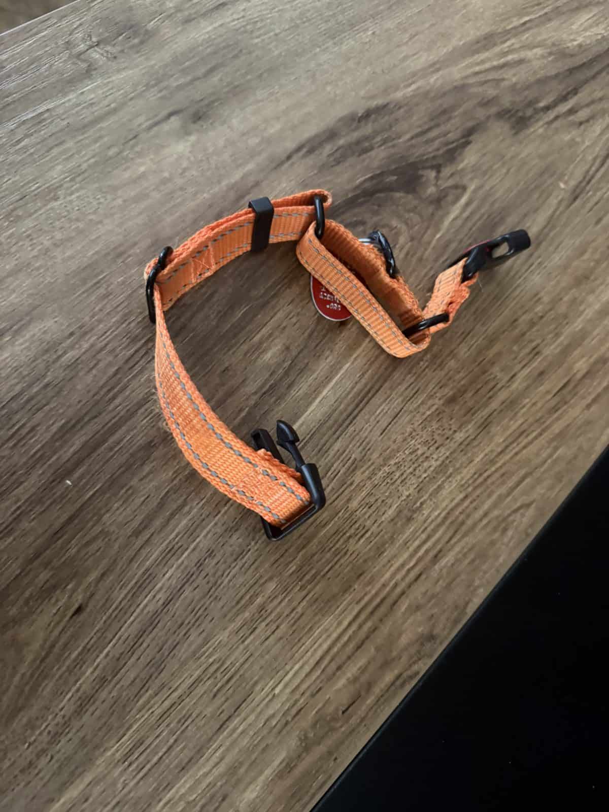 Best Dog Collars for Small Dogs in 2026: That Stay On Tiny Necks
