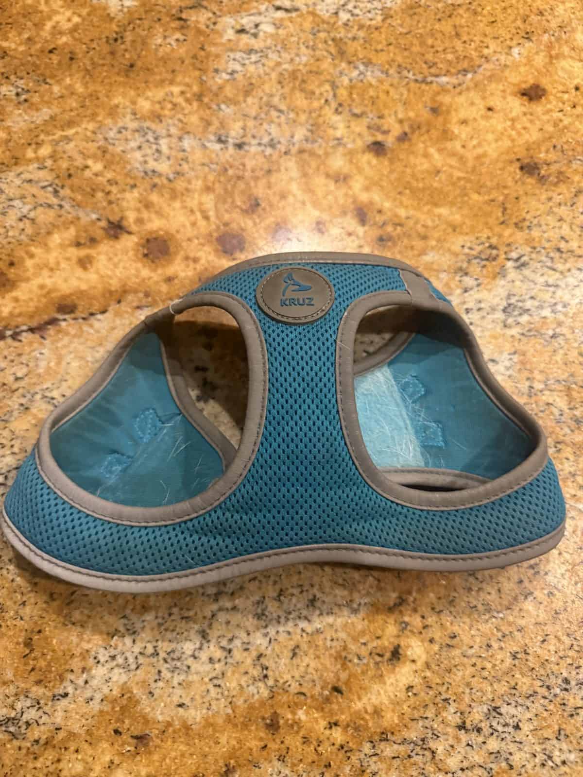 How to Choose a Harness for a Small Dog (and Fit It So She Can’t Slip Out)
