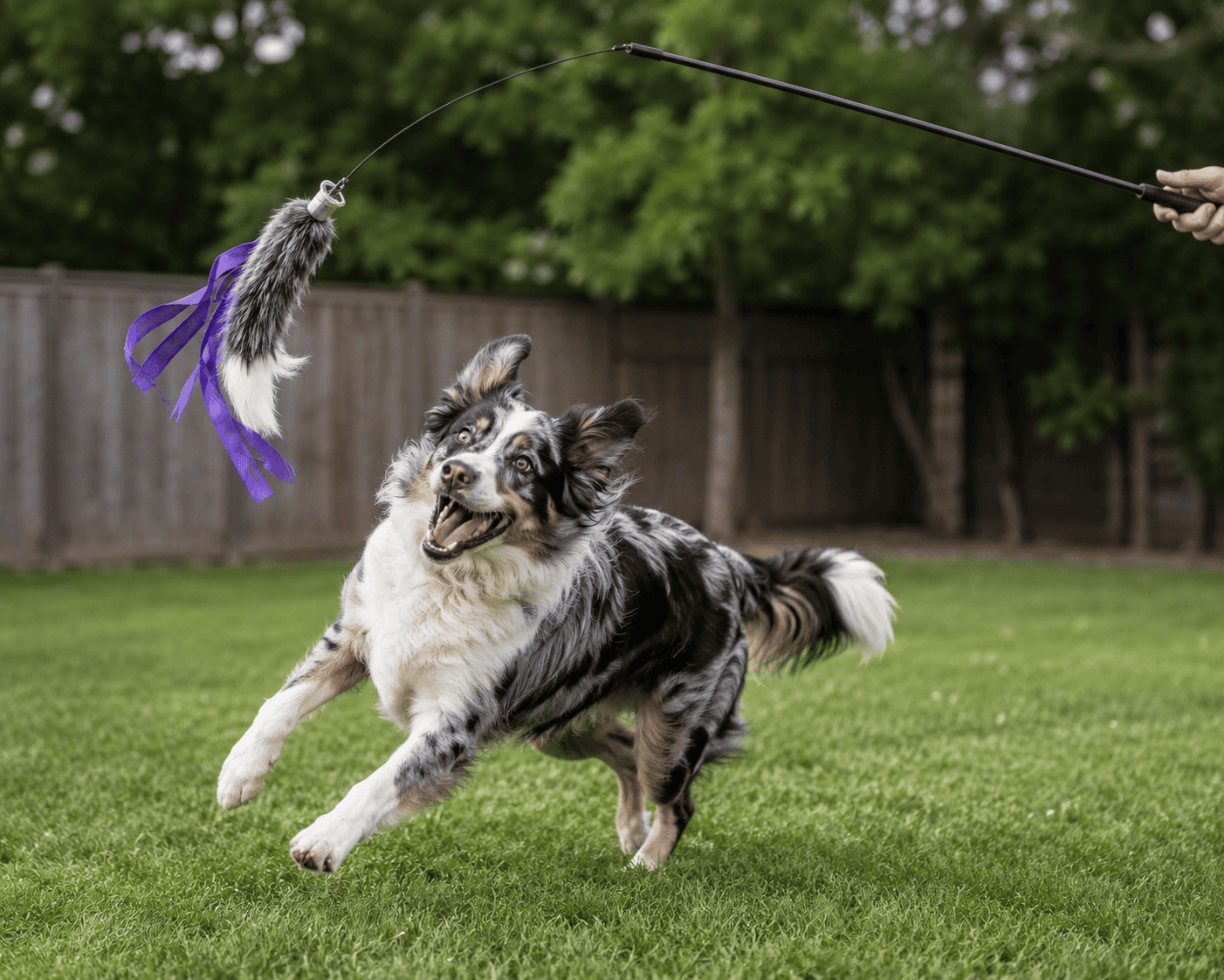 Fatigue the Drive: The Best Flirt Poles for Dogs in 2026