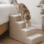 Cat using steps to climb bed.