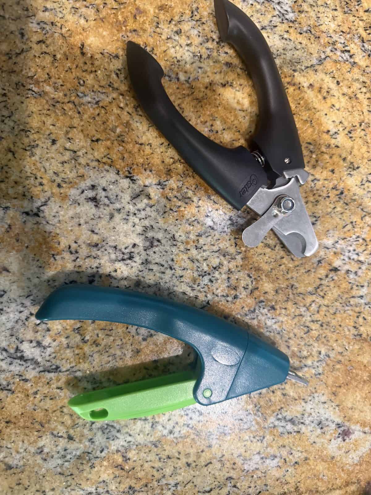 Best Dog Nail Clippers in 2026: Safe, Clean Trims You Can Do at Home