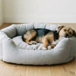 Dog sleeping on a cozy bed.