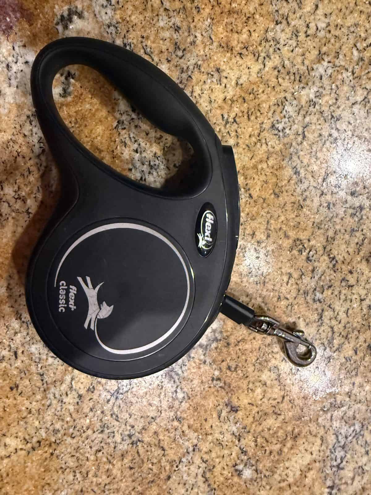 Best Dog Leashes for Small Dogs Built for Safety in 2026