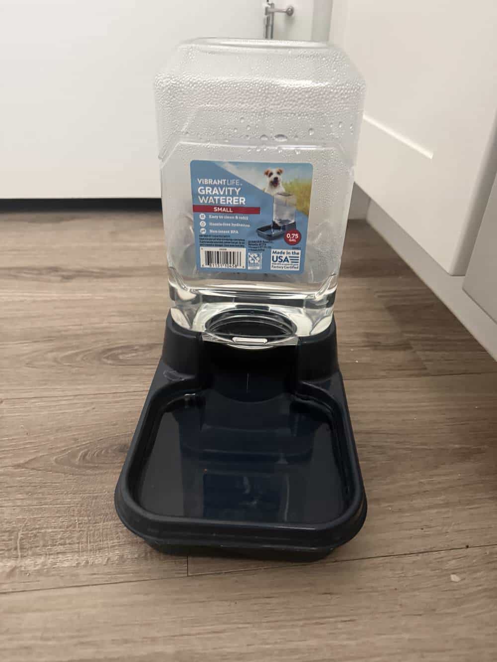 Best Gravity Dog Water Bowls for Consistent Hydration:  2026 Guide