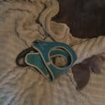 common dog gear