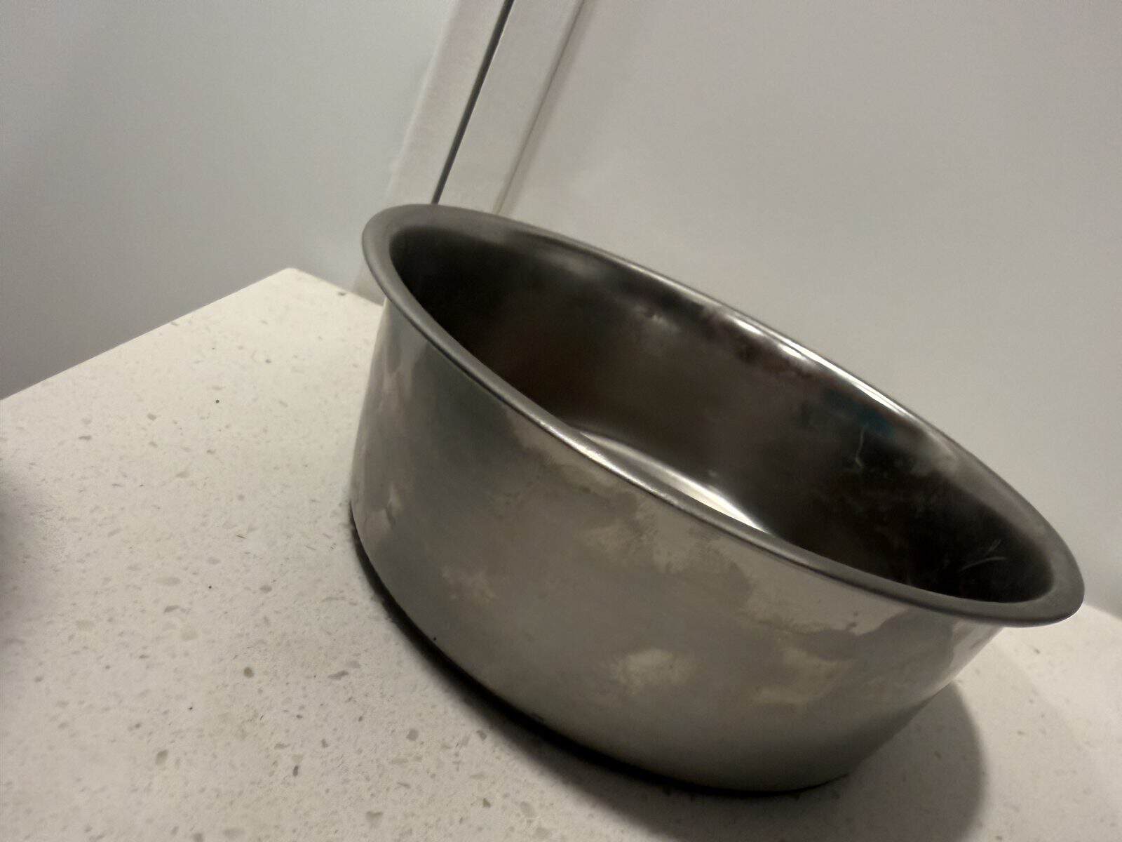 What Size Dog Bowl for a Small Dog?