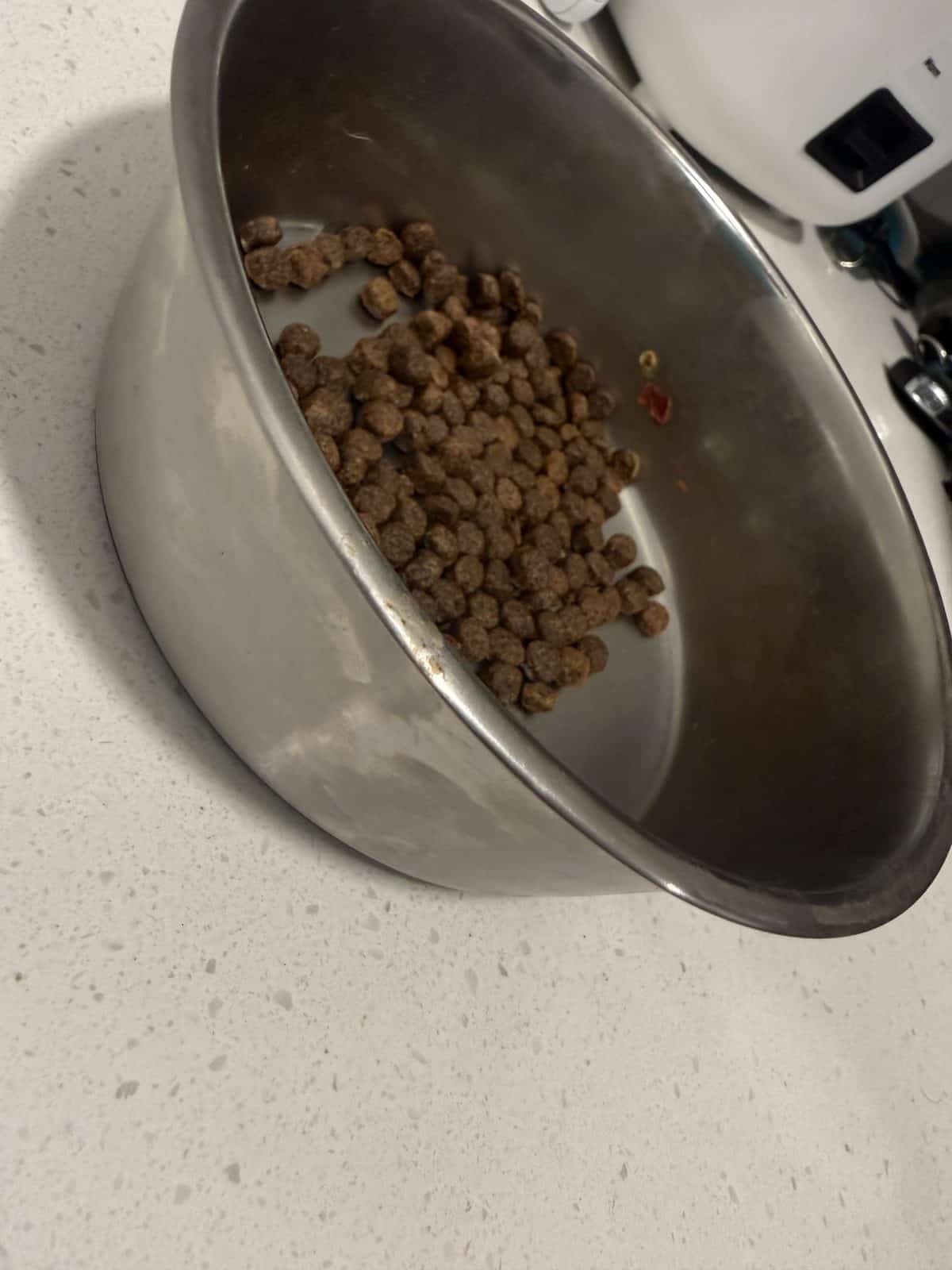 Stainless Steel vs Plastic Dog Bowls: Which Is Better?
