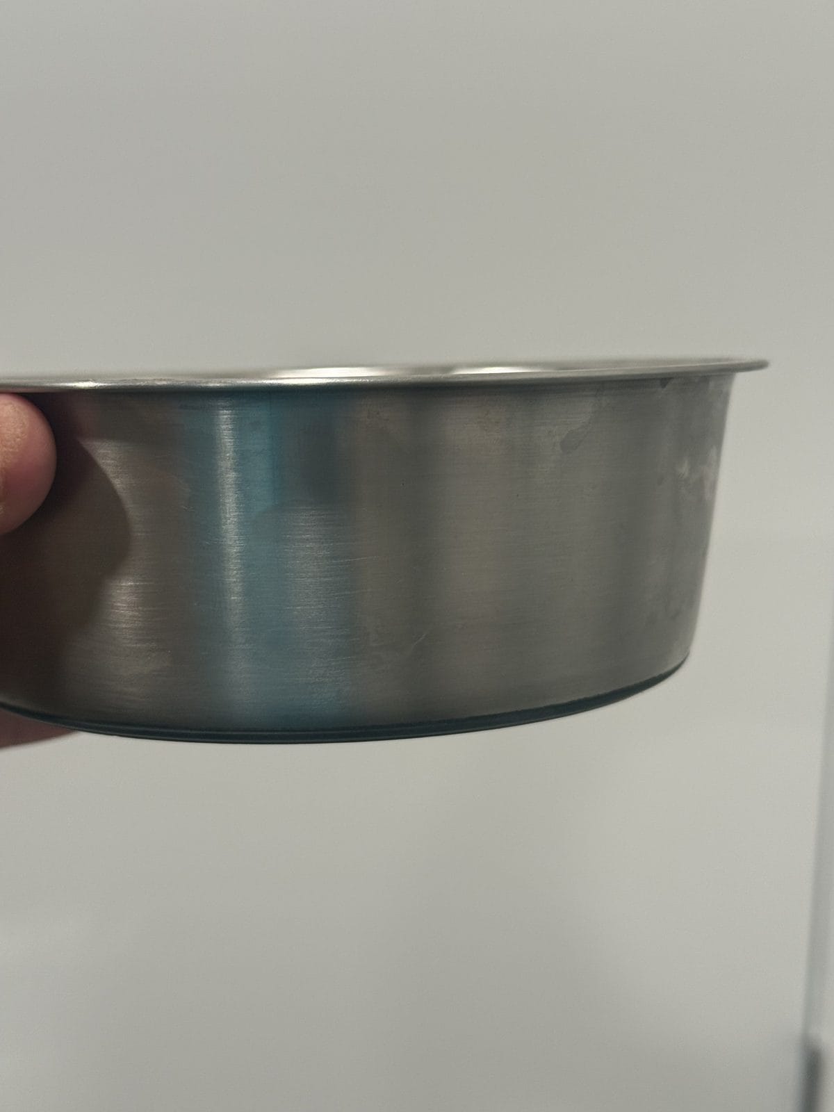 How to Clean a Dog Water Bowl: Tips For Owners