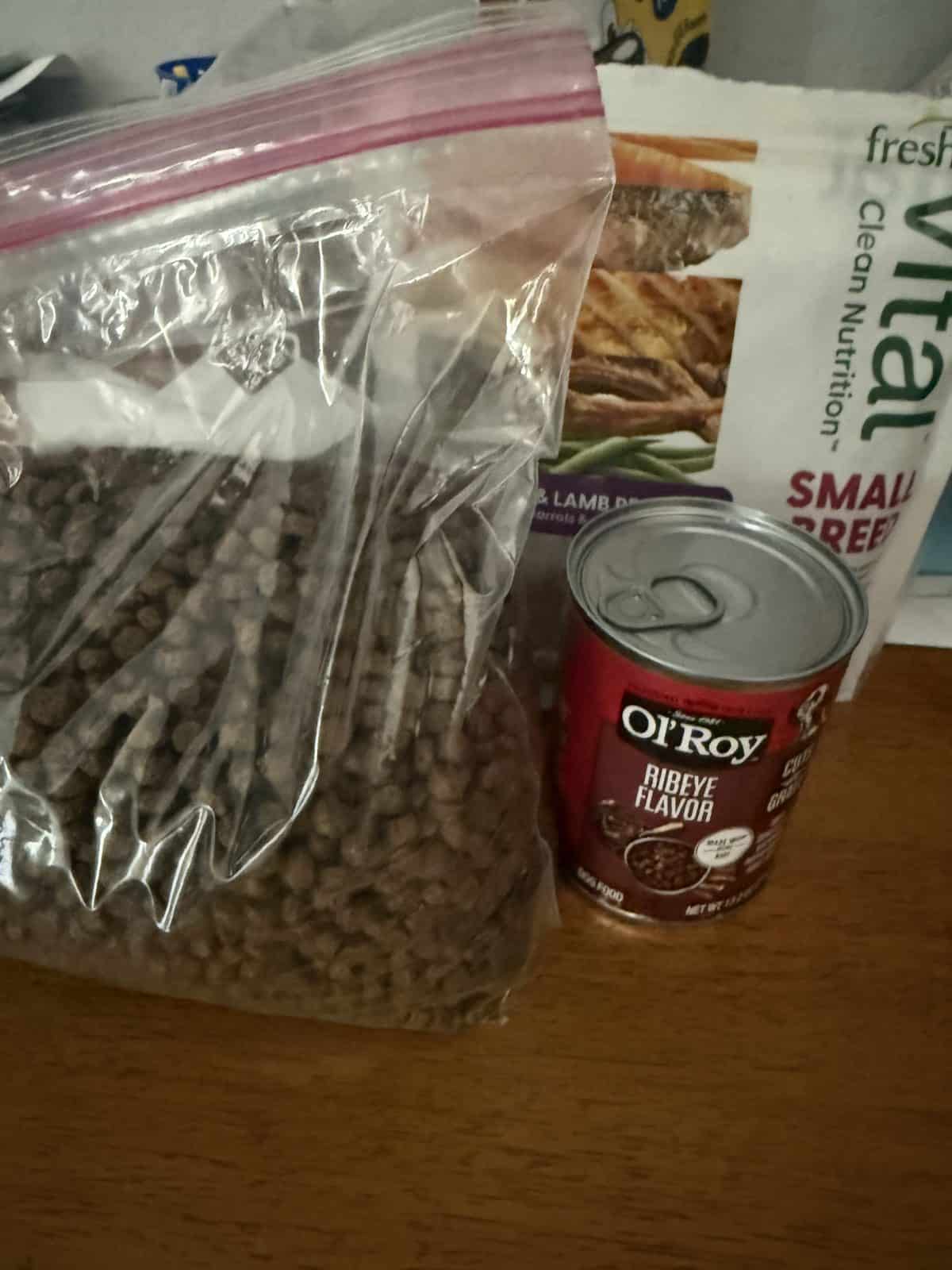 How to Run a Dog Food Taste Test at Home: Going Off Patterns and Vibes