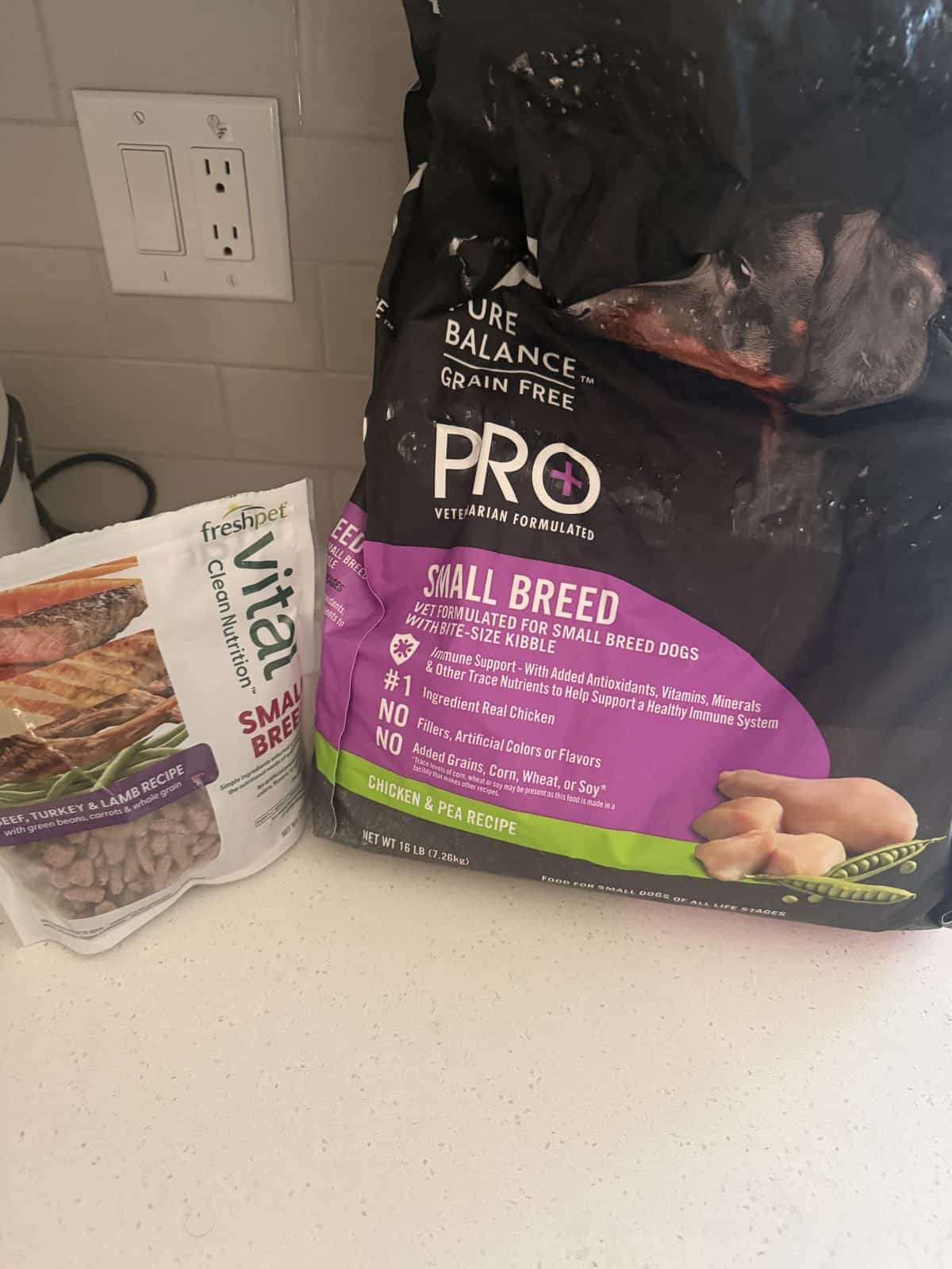 Fresh Food vs Dry Food for Dogs: Which Should You Feed?