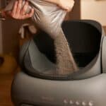 a litter box being filled