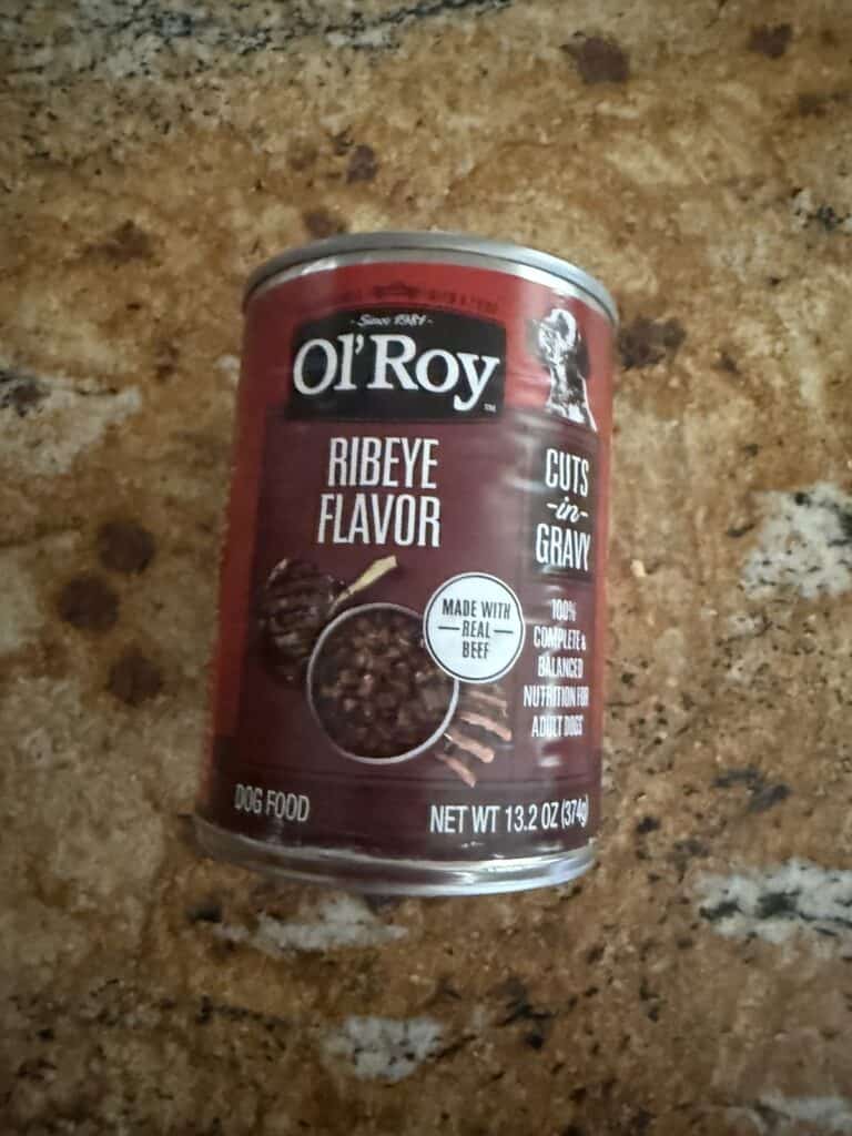 wet dog food can on counter